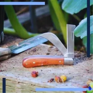 Couteau de greffage