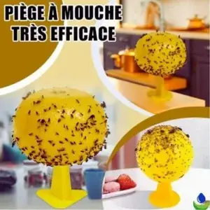 Piège à mouche