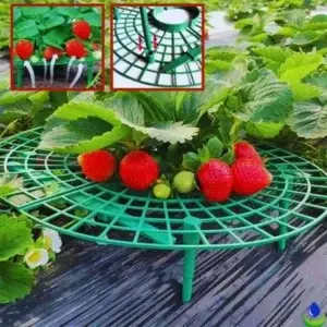 Support pour plantes